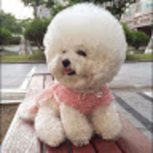 Meet your Posher, Queenie